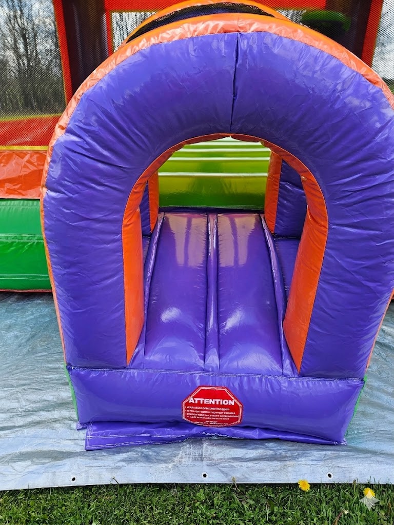 Clean-Sanitized-Castle-Jump-House-Livingston-County-Conesus-Lake-Avon-Geneseo-