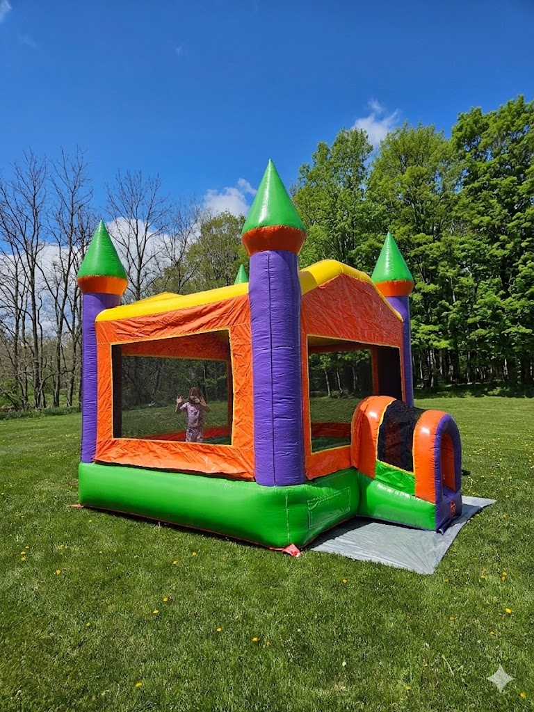 NY-free delivery-castle-bouncer